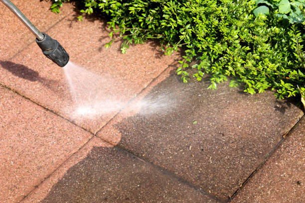 Best House Pressure Washing  in Greer, SC